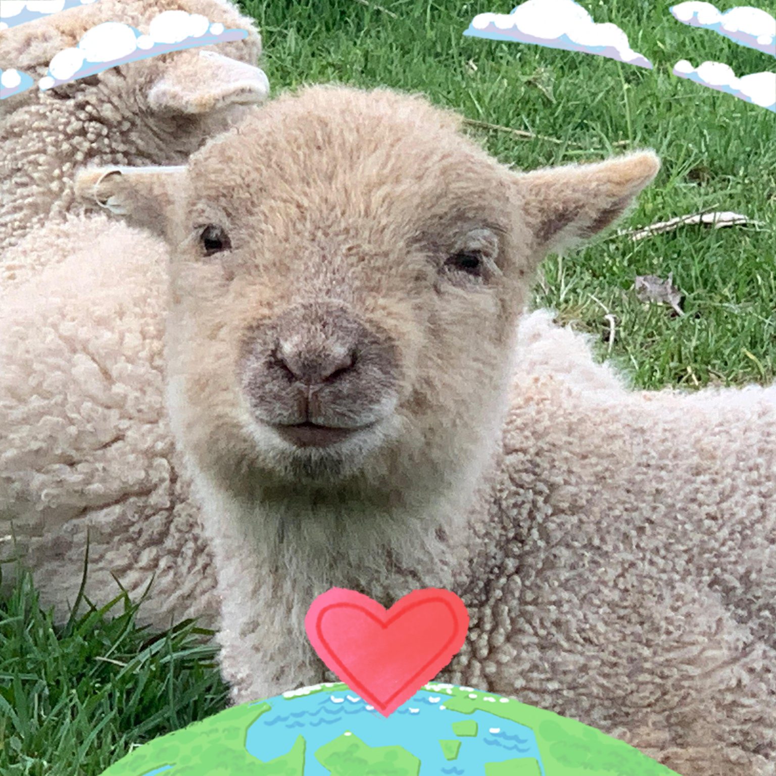 June is DAIRY MONTH! The 