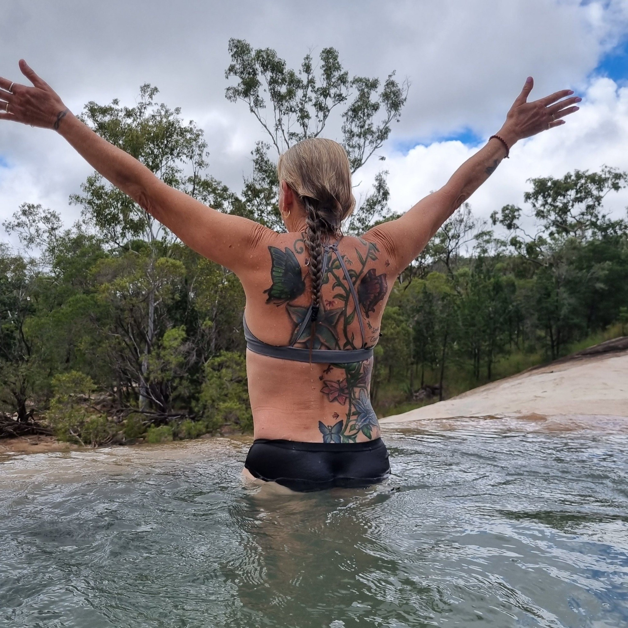 Herberton Notice Board | Today I found 8 dead rainbow bee-eaters at the ...