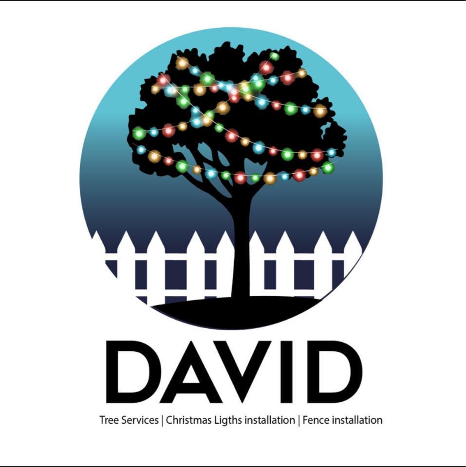 David Tree Services•Fence Installation •Christmas Lights | Houston TX