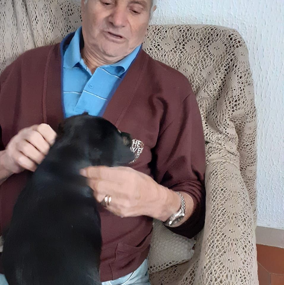 AHAHAHAHHAHAHAHAHAHAHAHAHHAHWH | Il Rutto Sovranista