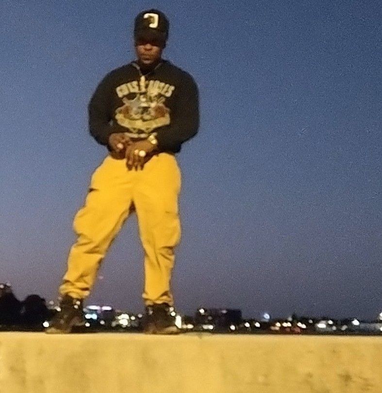 Litty Lion