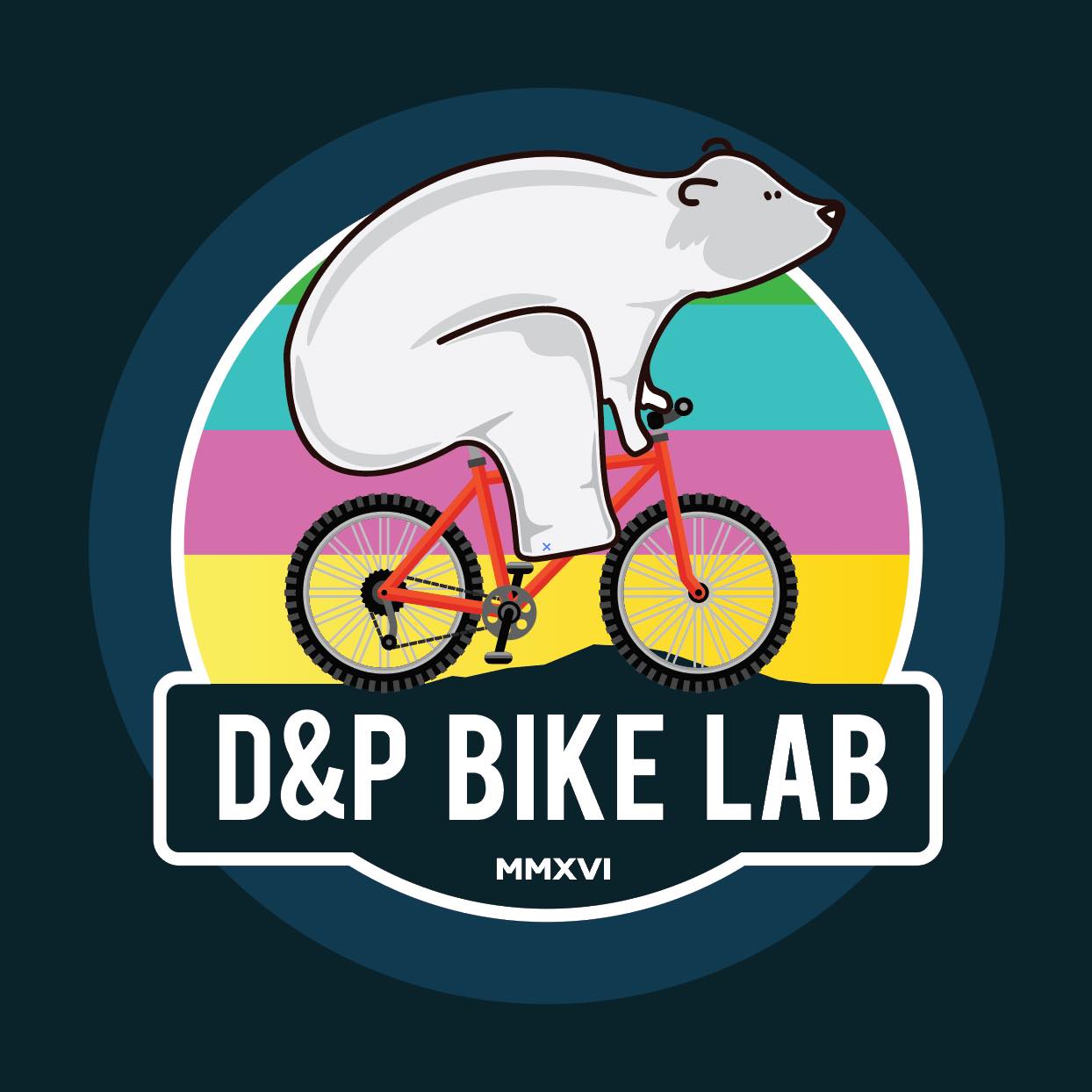 Pogi-Build: Chameleon Color 🔸Mountainpeak Everest Pro (2026) FIS Thank ...