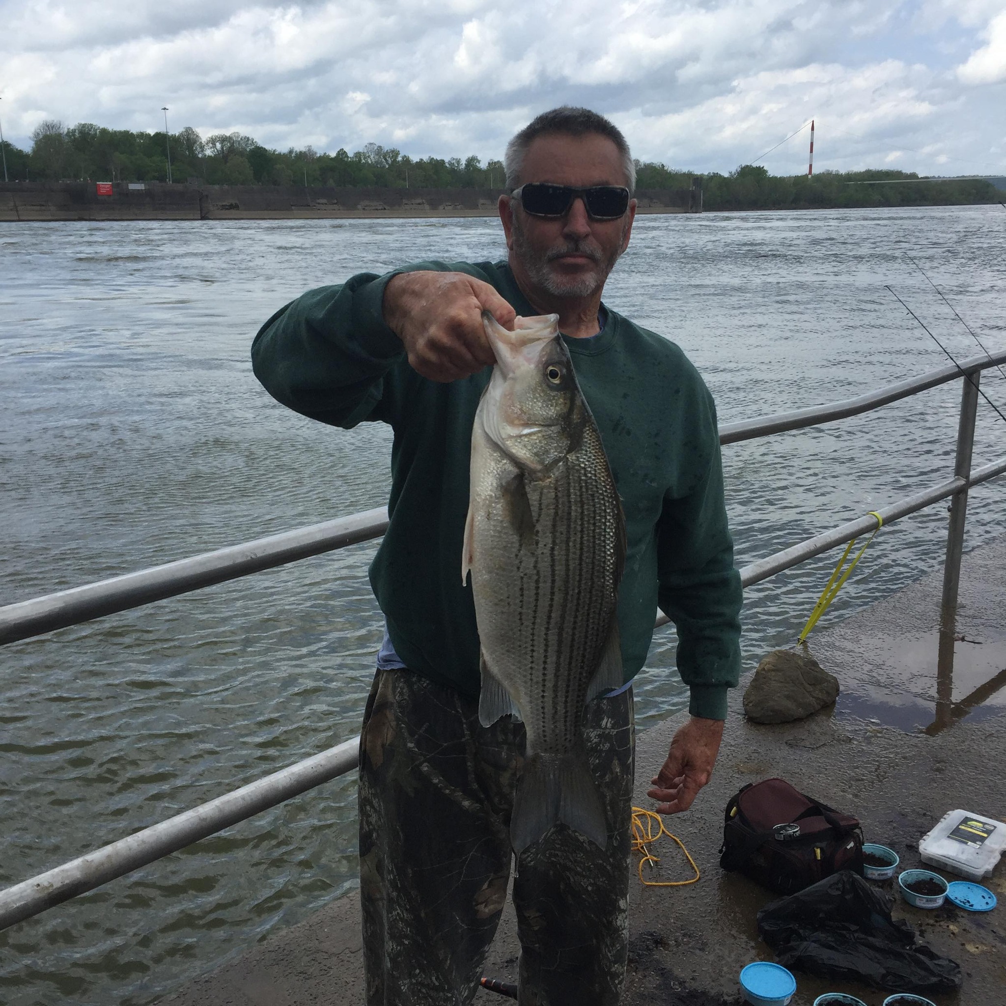 Greenup Dam Fishing | Facebook