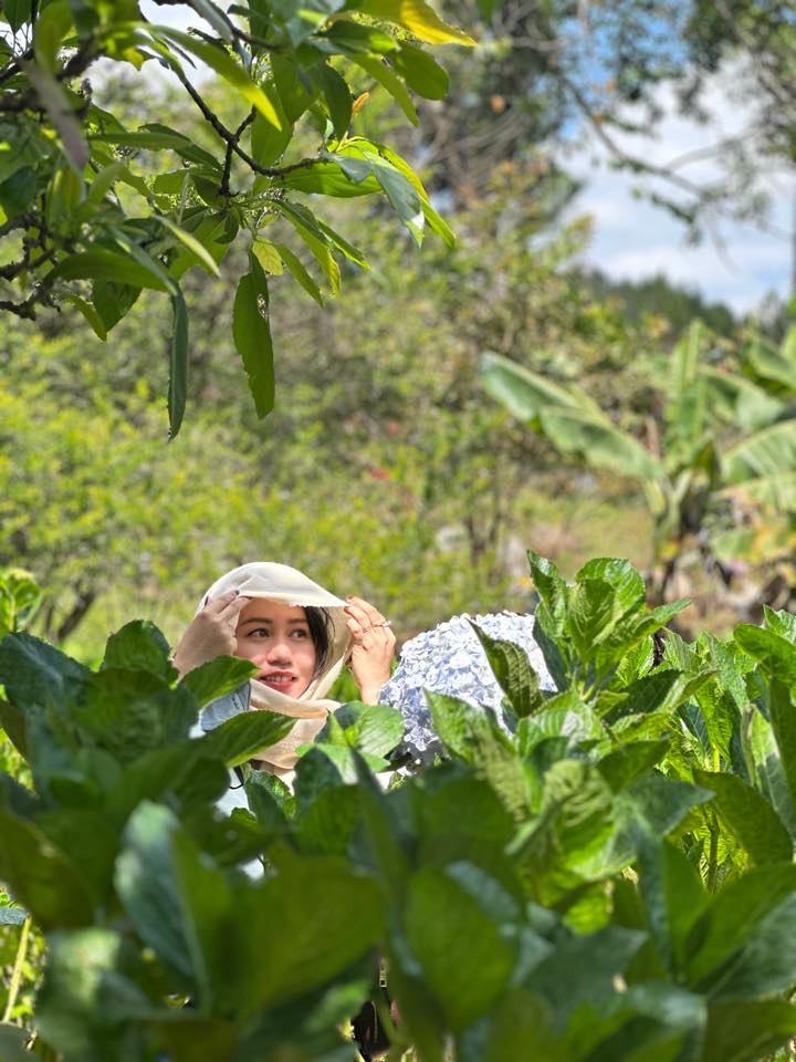 Gửi bà con xa quê hình ảnh Vĩnh Linh Cam An đang đổi mới, phát triển ...