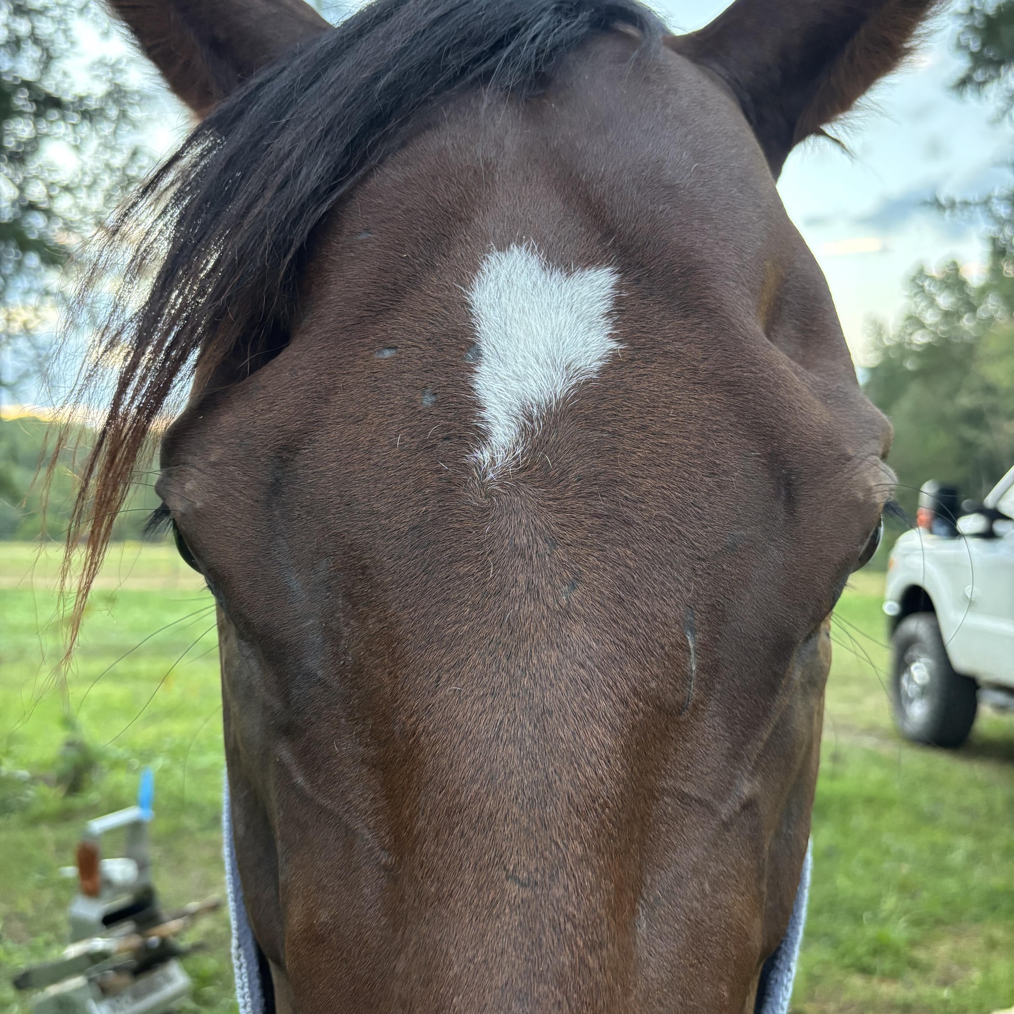 Soft-Spur Ranch