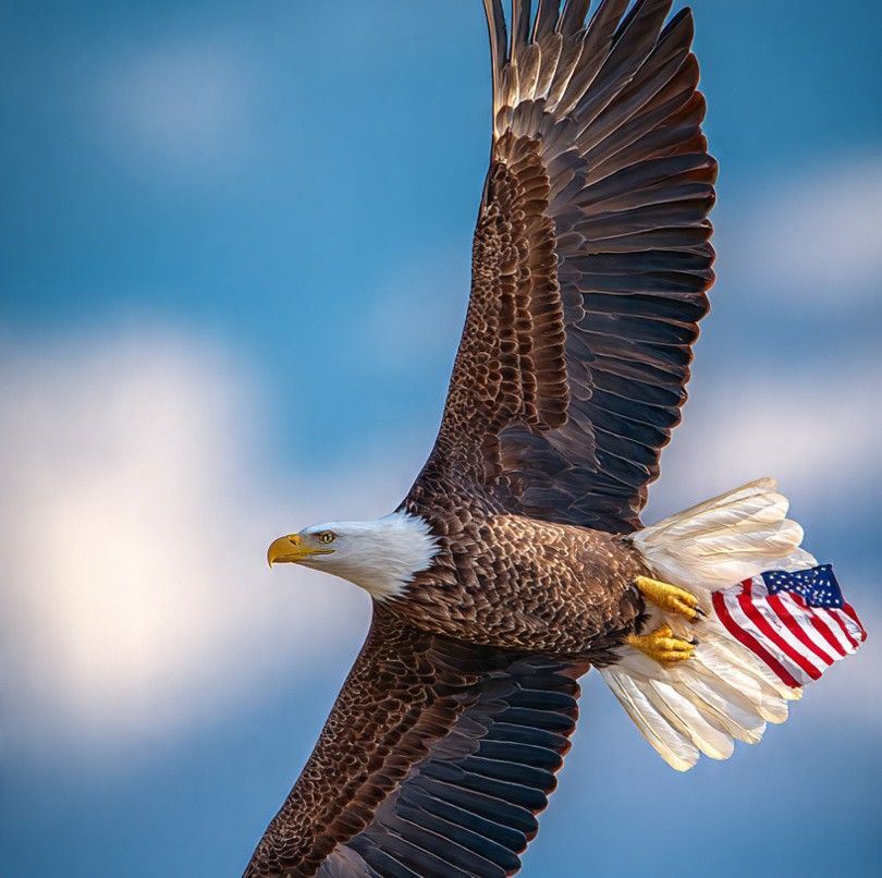 Titan Wolfe - Our military men and women deserve the best... | Facebook