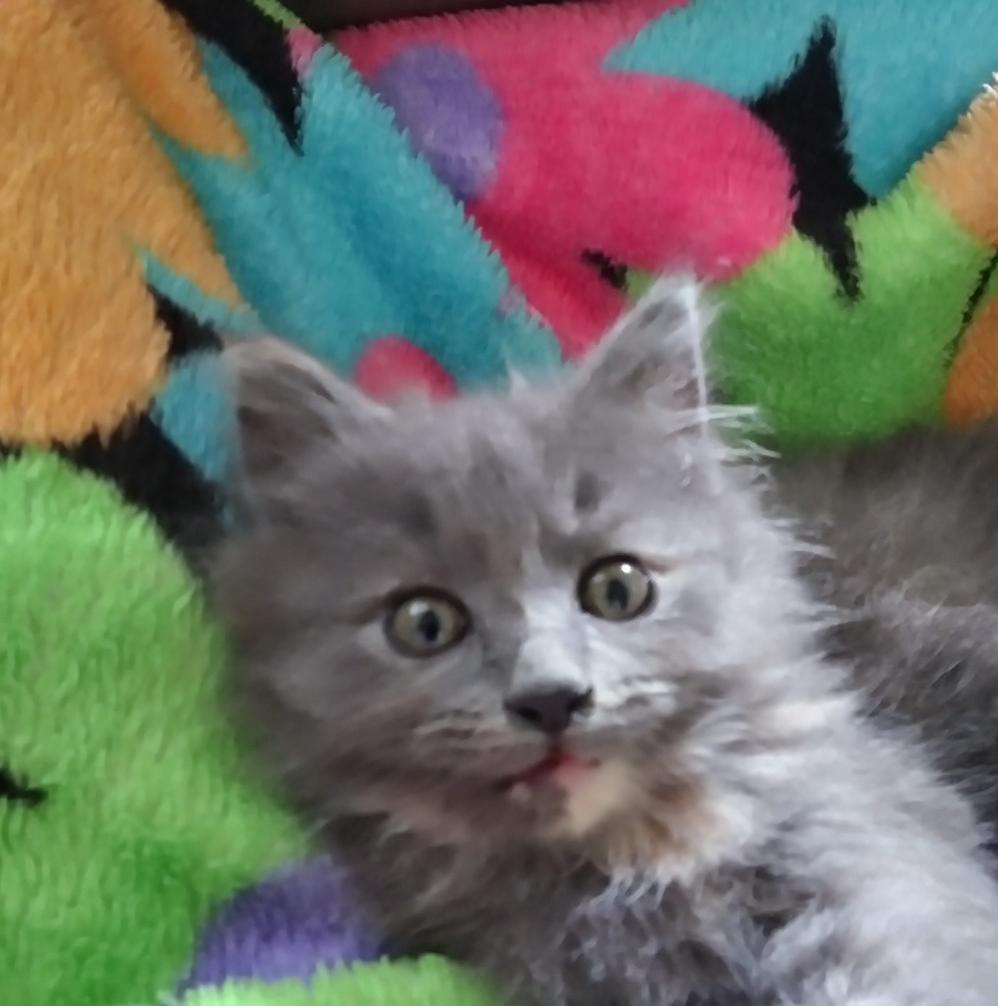 Corydon, Indiana Obituaries | Facebook