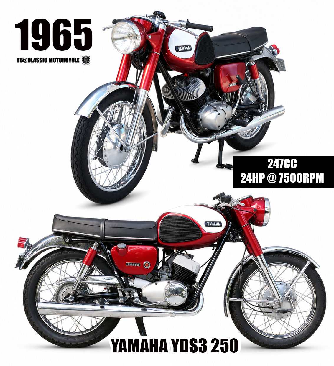 In 1959, Yamaha's YDS1 created history by becoming the first