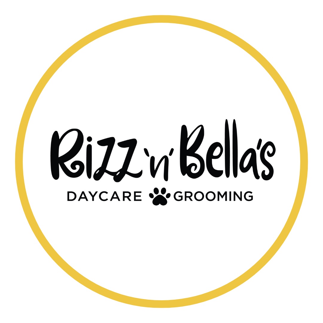 Northern Beaches Community | Hoping to get a recommendation for a dog ...