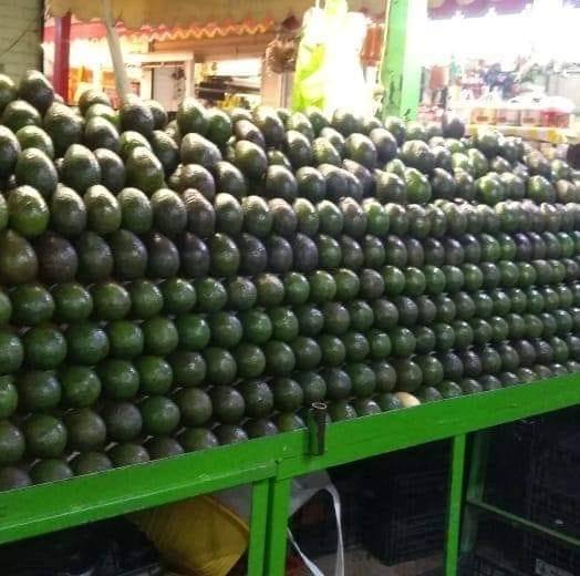 ¿Buscabas un proveedor confiable en Puebla con precios reales de ...