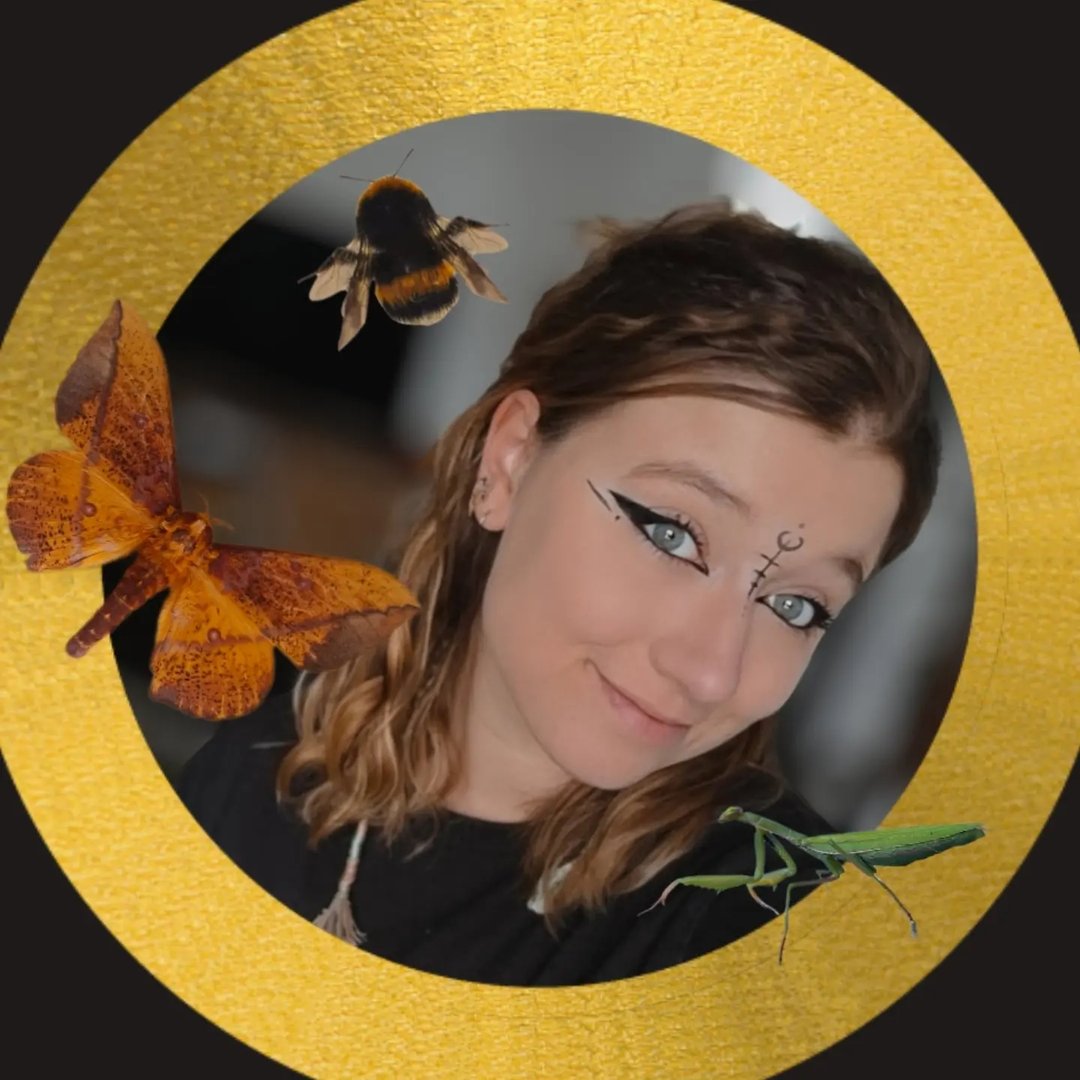 Et toi tu savais faire la différence. 😉 #apprendre #libellule #insecte ...