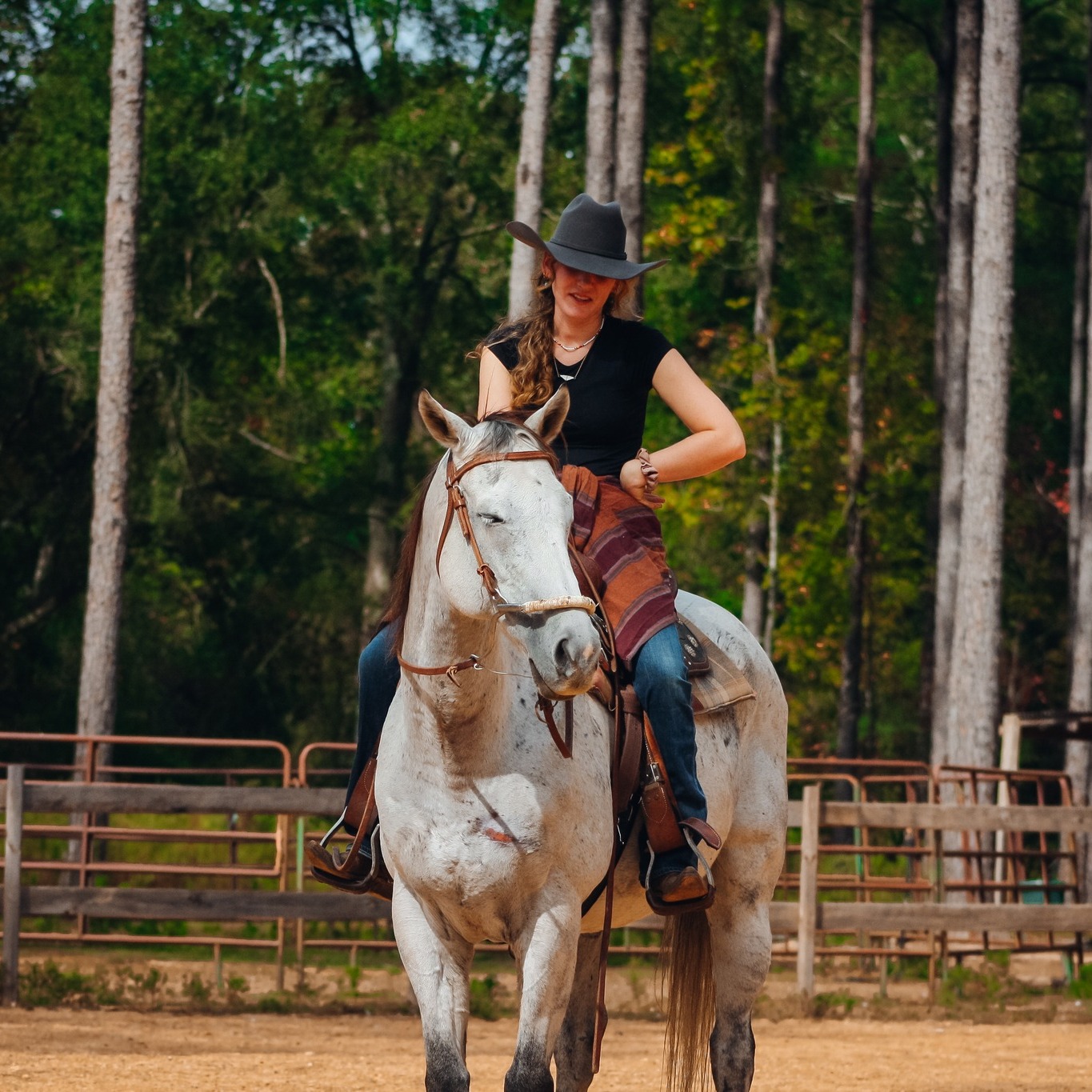 Cutting Horses And Cutting Horse Prospects Only | ISO 2024 stud or ...