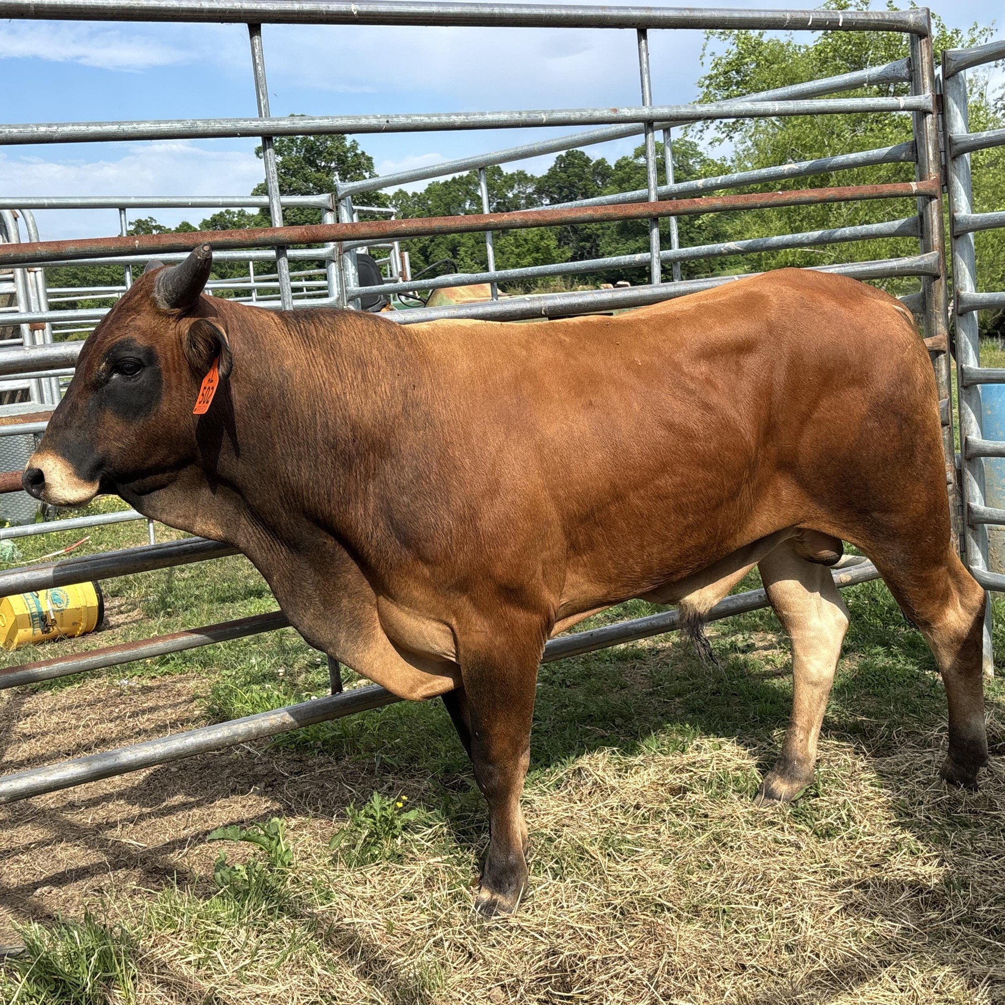 Spur L Ranch