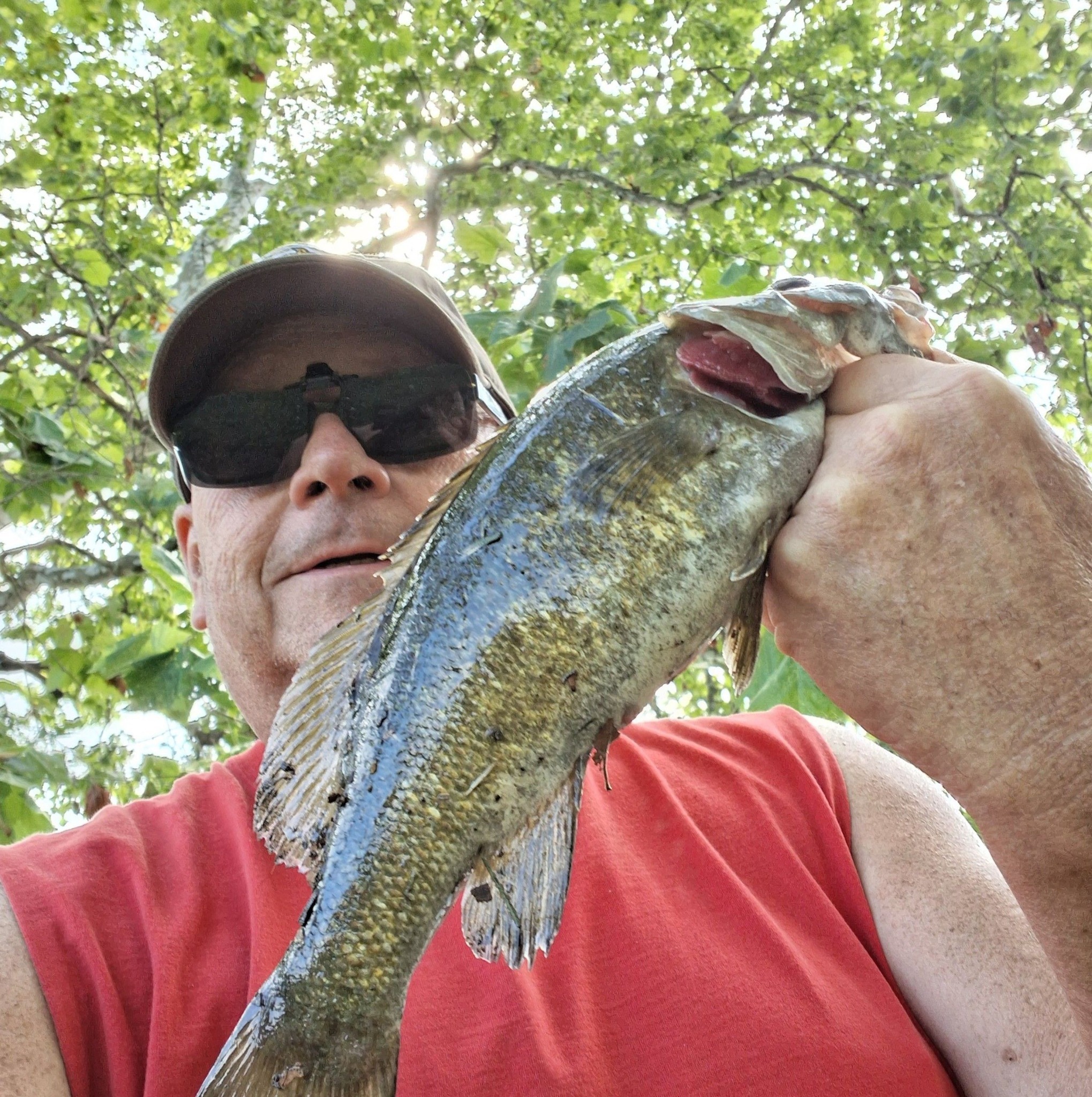 The Bluegill Network | You recognize the look | Facebook