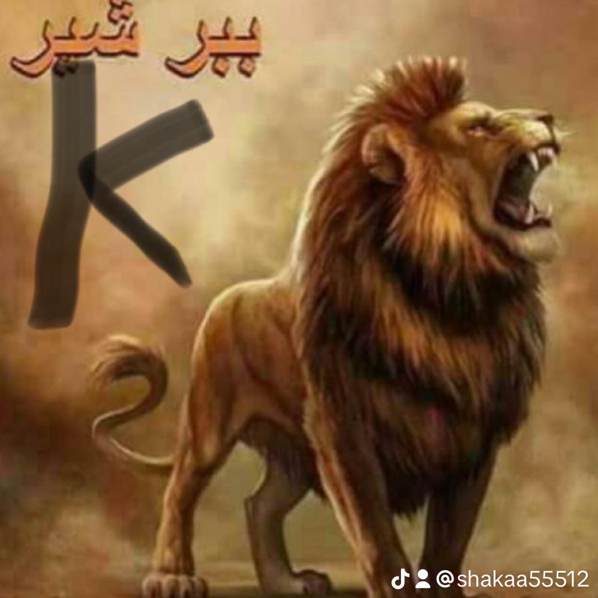 #highlight #punjabianz🔥 ️🔥 #javaidhashmi🫡 | Waheed Ahmad Tarar