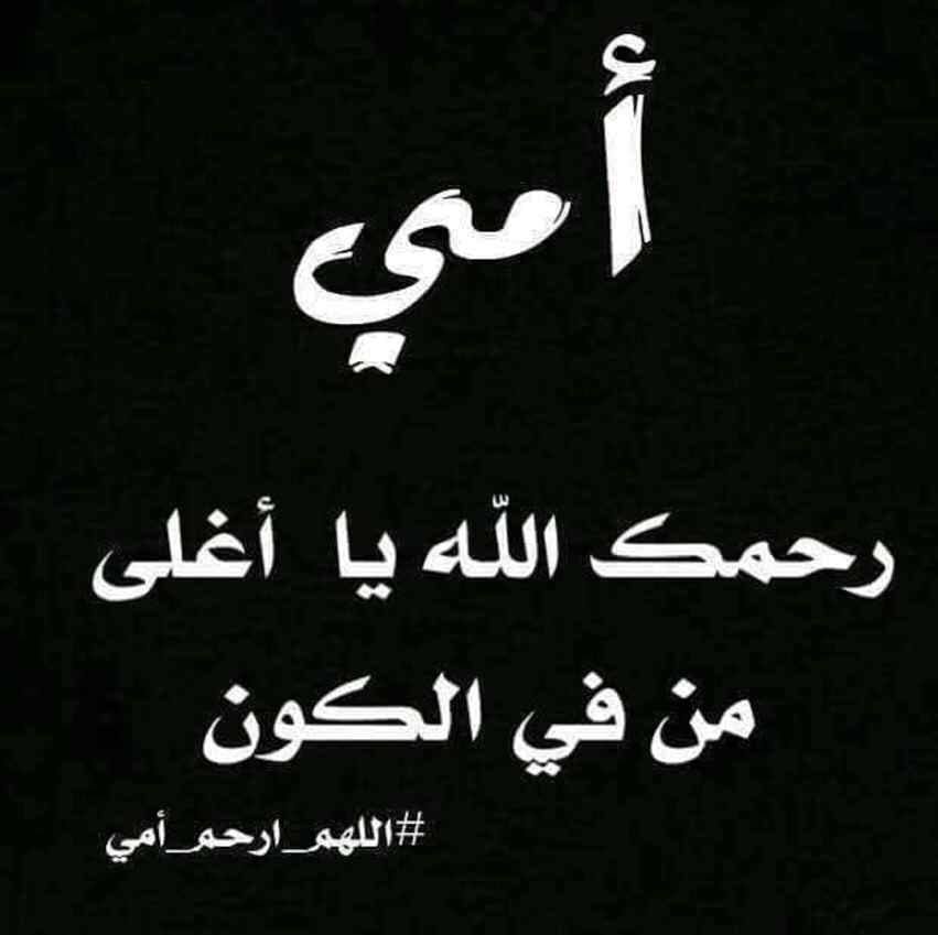 🎯 علامة 5/5 في الـAP ما بتيجي بالحظ… بتبدأ بخطة صح! مع Q Academy رح ...