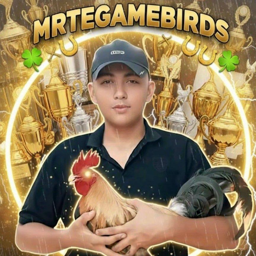 MrTe GameBird's