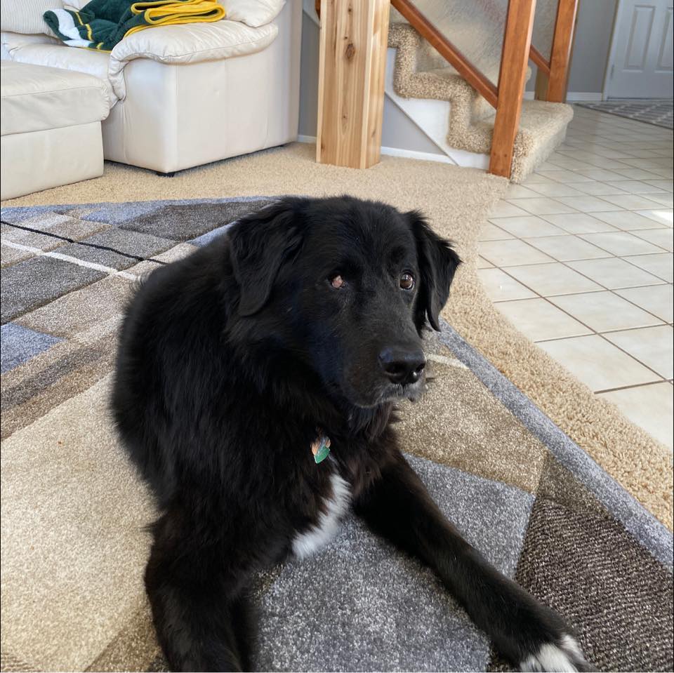 Humminbird Tips and Tricks | Kinda more of a minnkota question but ...