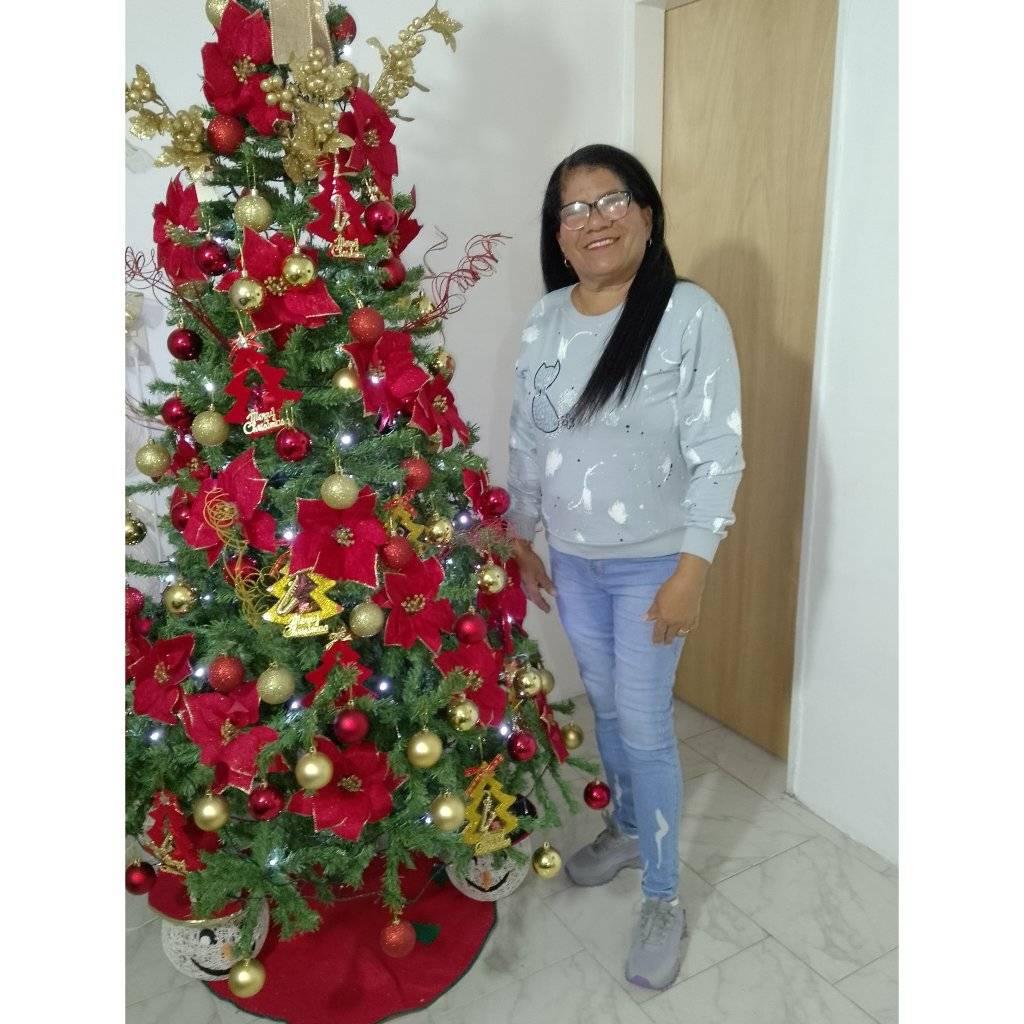 ️‍🩹🥺 #Diciembre #navidad #familia #amor #parati #Pueblo | Eli Rouge