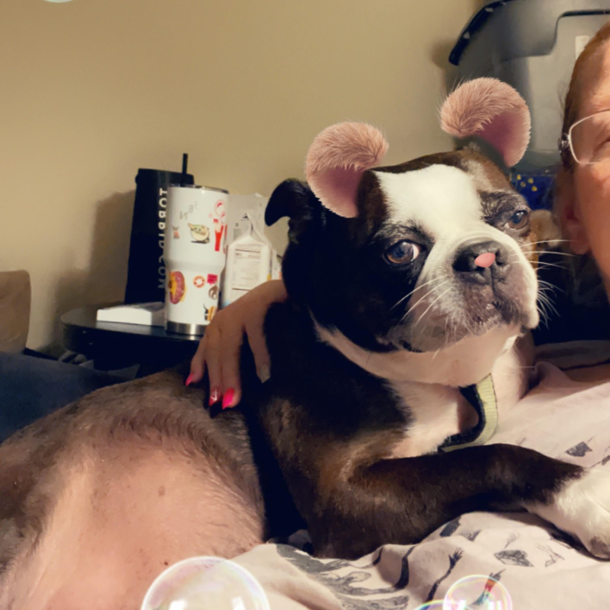 My little guy just wanted to say hi to everyone 👋 | Facebook