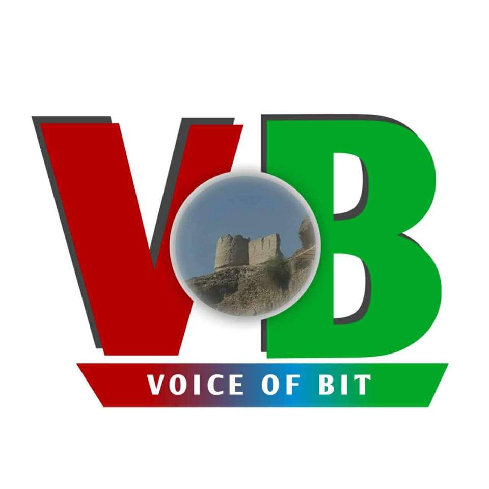 Voice of Bit