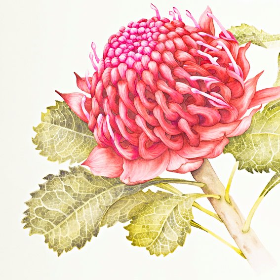 Kate Knott Art