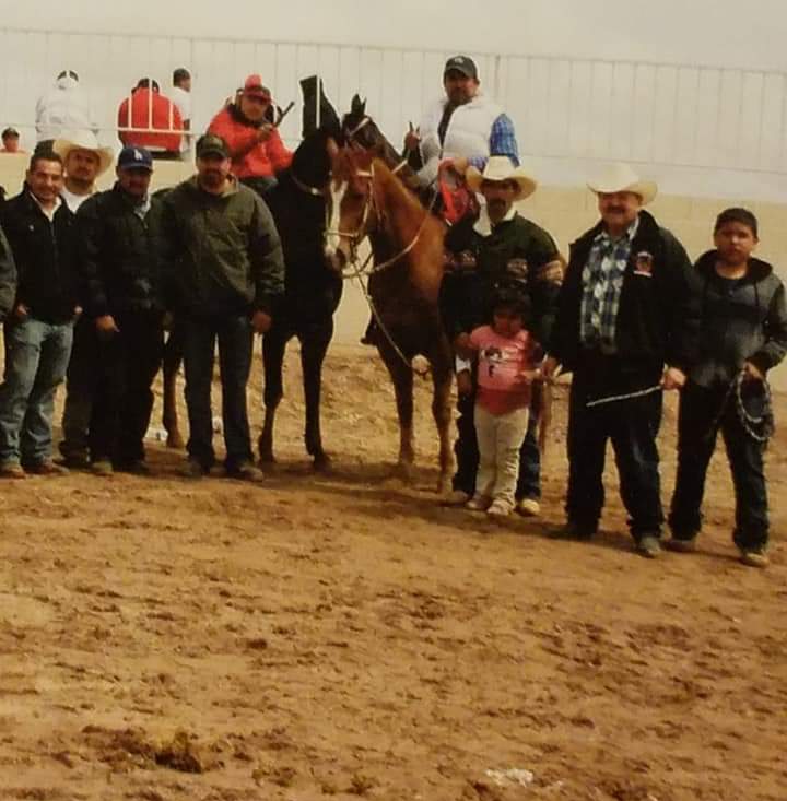 Corriente Connection | Looking for a group of corriente cows would ...