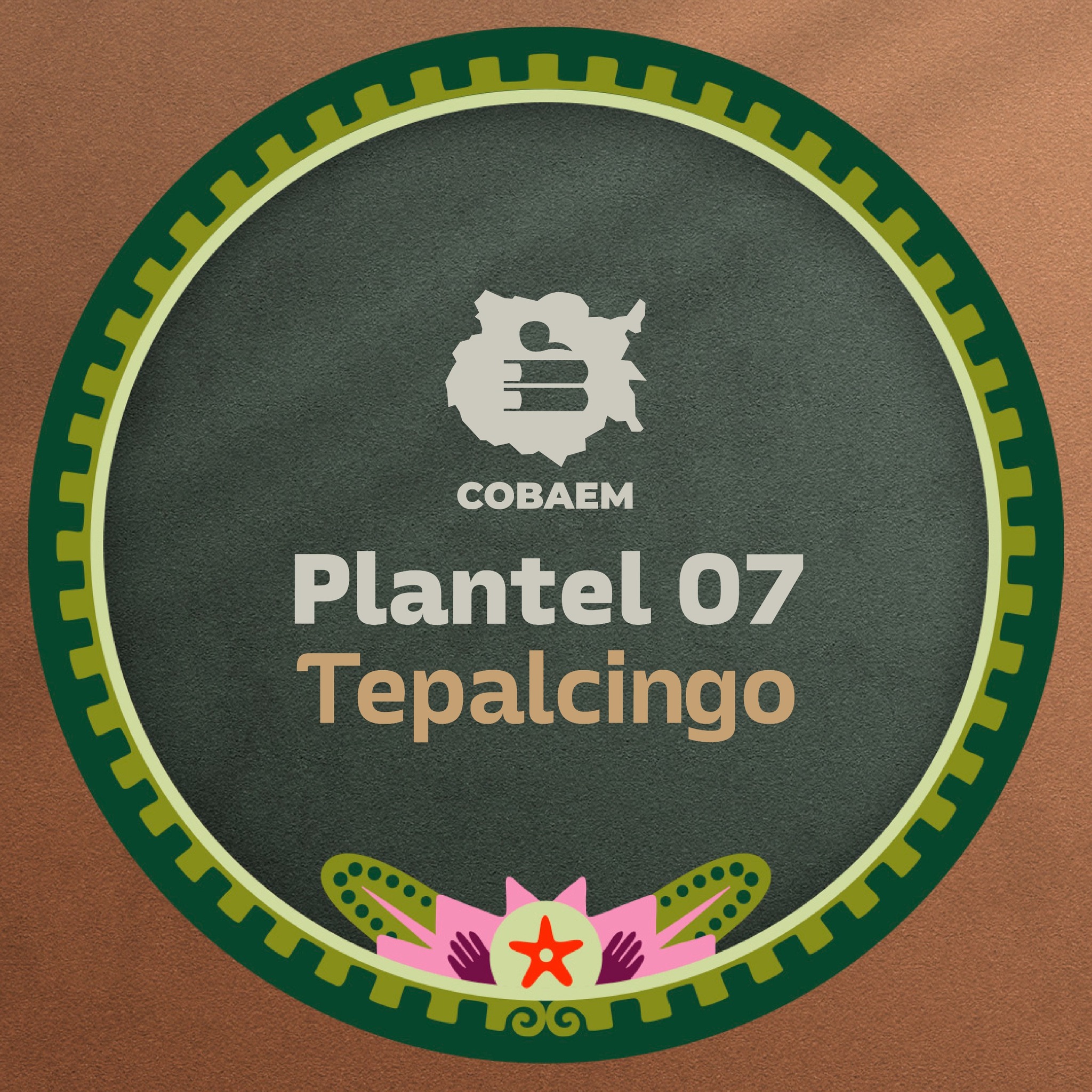 Buen día a toda nuestra comunidad cobaem, deseamos esta sea una semana ...