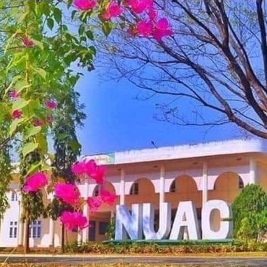 NUAC MDY