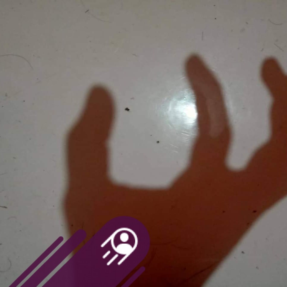 P Potcha