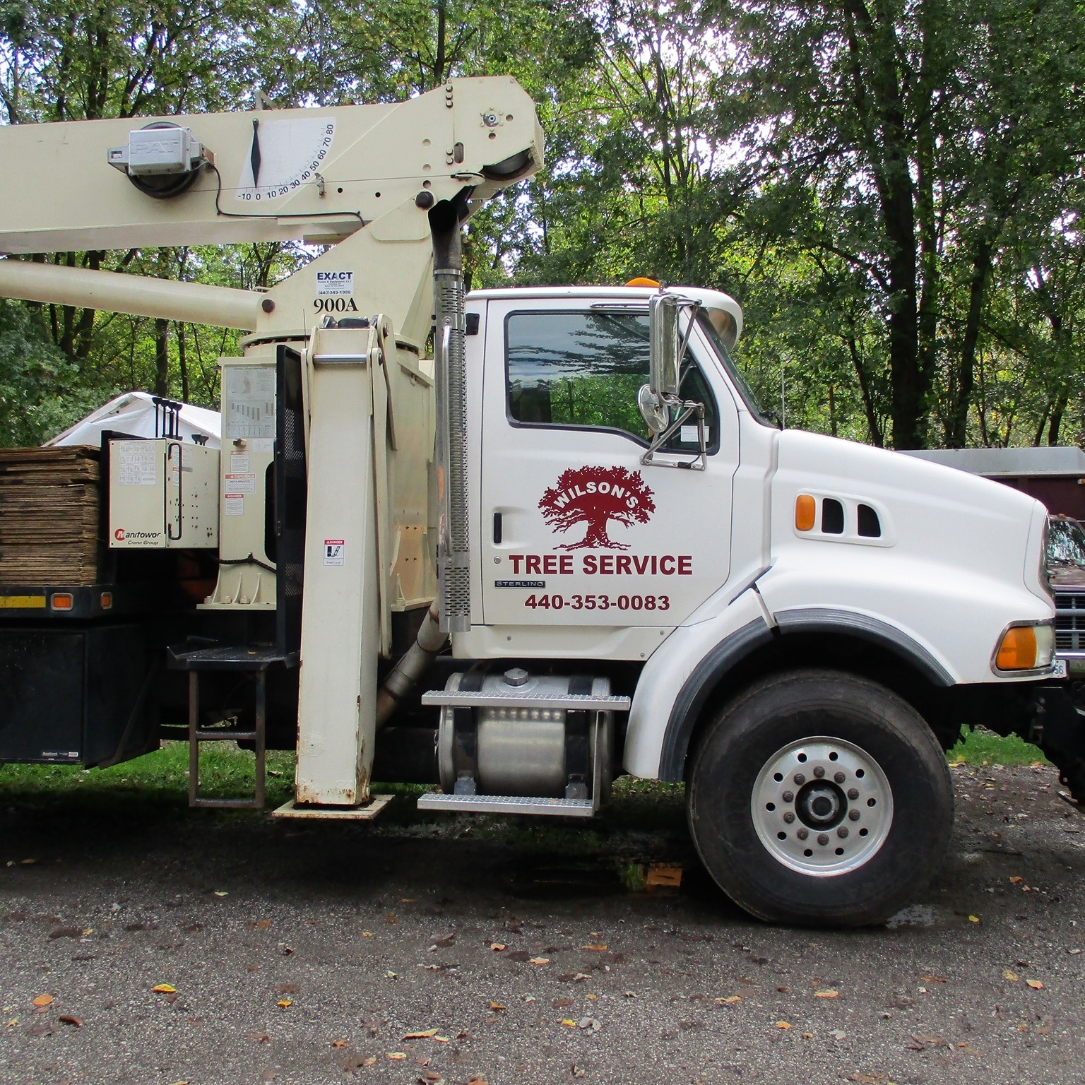 Wilson Tree Service | North Ridgeville OH