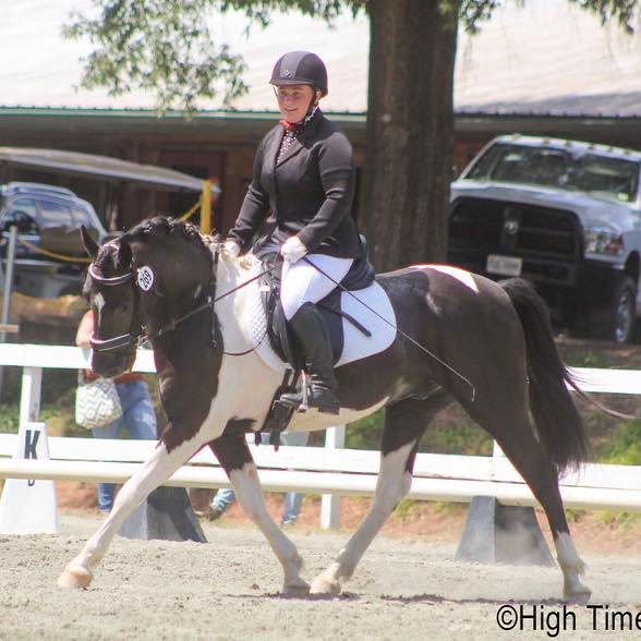 Silverbit Stables | Jacksonville NC