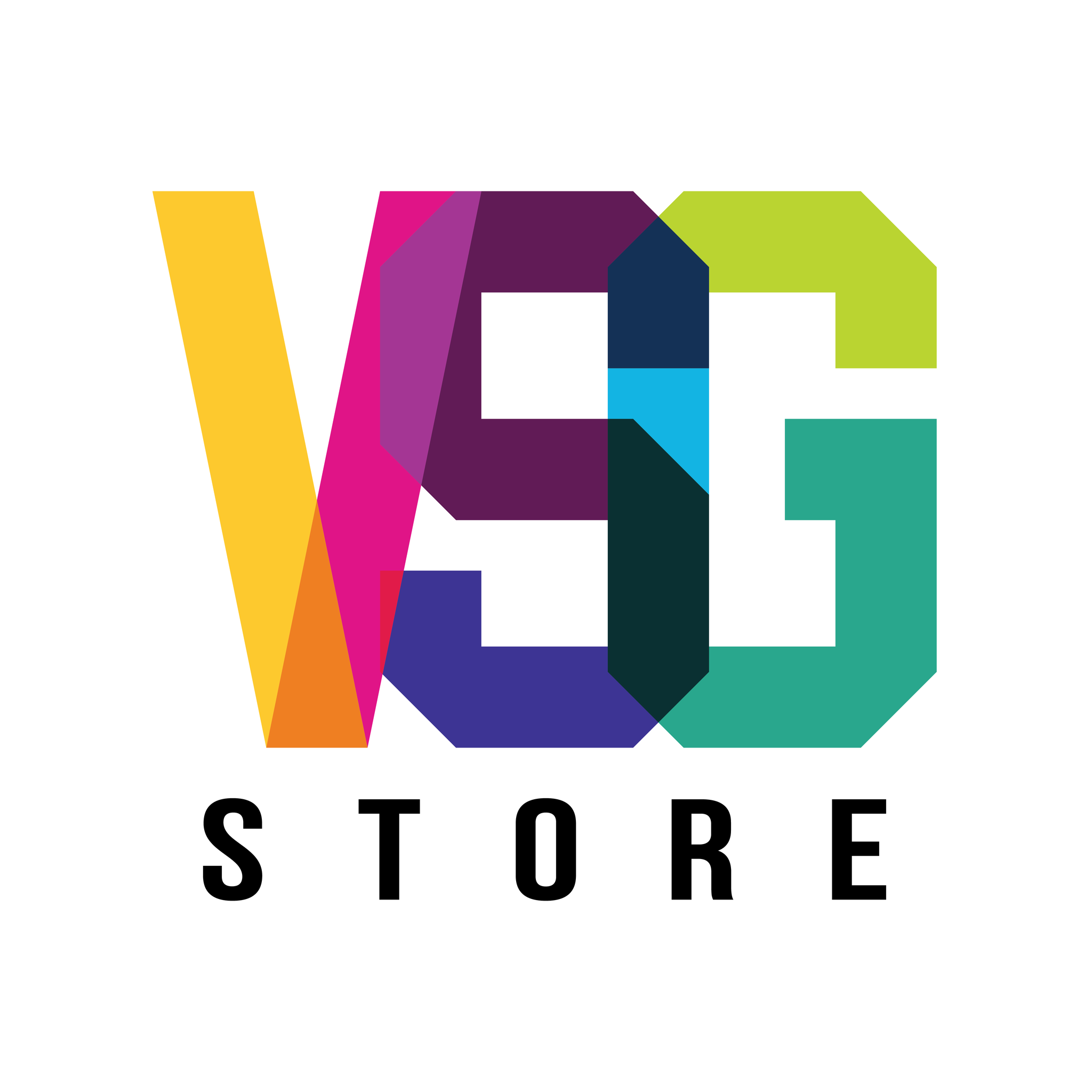VSG Store | Ho Chi Minh City