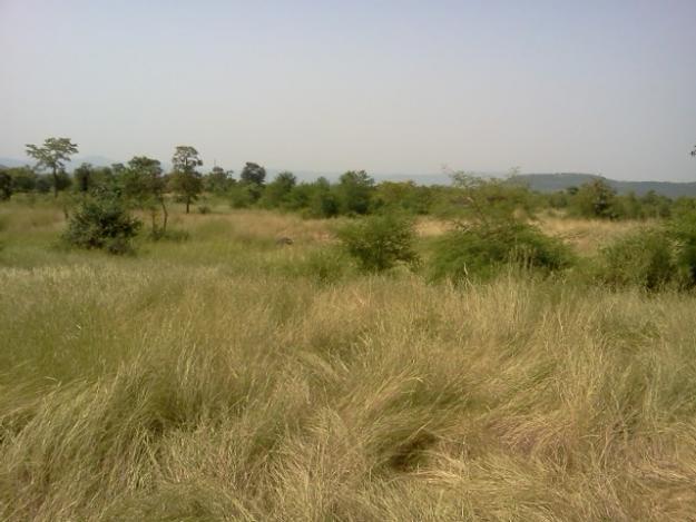 Mangaon, Mahad, Roha Mitra Mandal