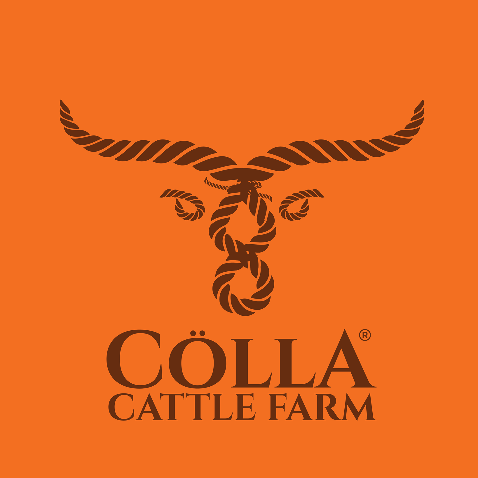 Cölla Cattle Farm | Kuala Selangor