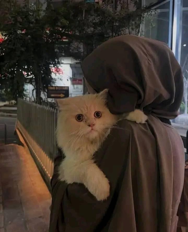 Riha Moni