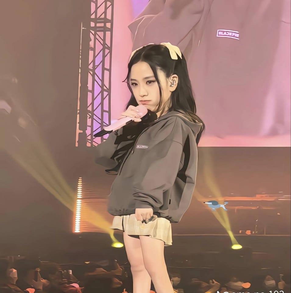 KIM Turtle Rabbit