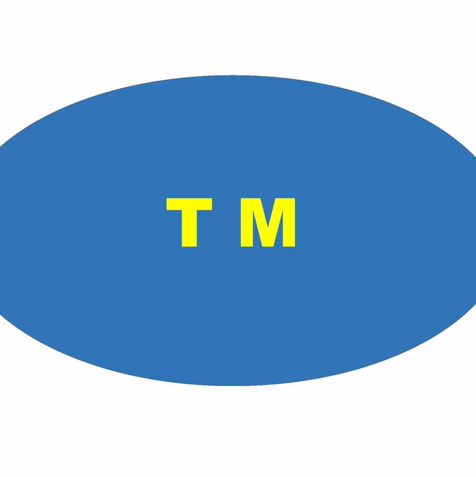 TM Accounting Service