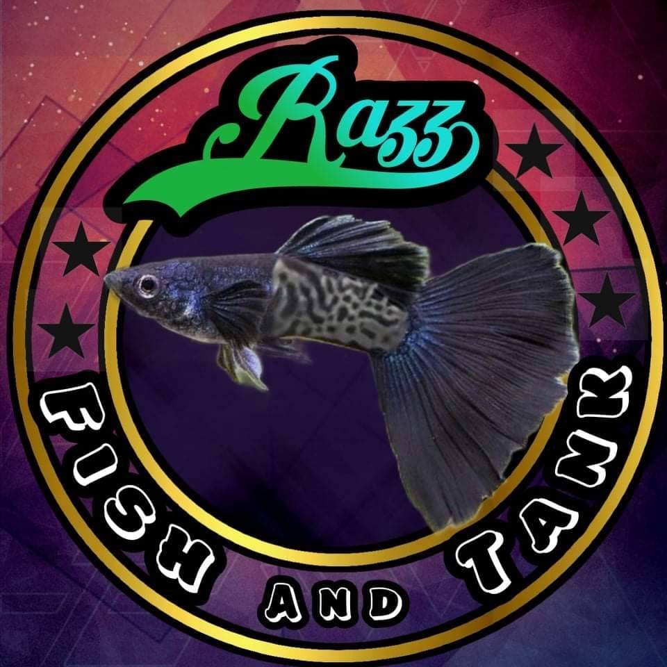 Razz Fish and Tanks