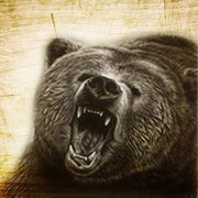WildPeace Survival&Bushcraft Academy