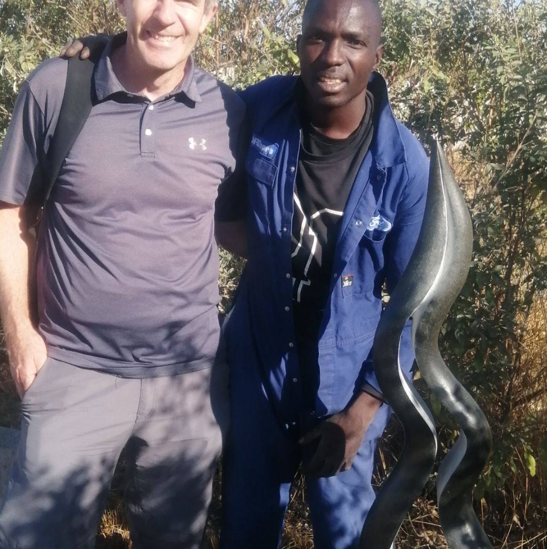 Livingstone Matambo sculptures