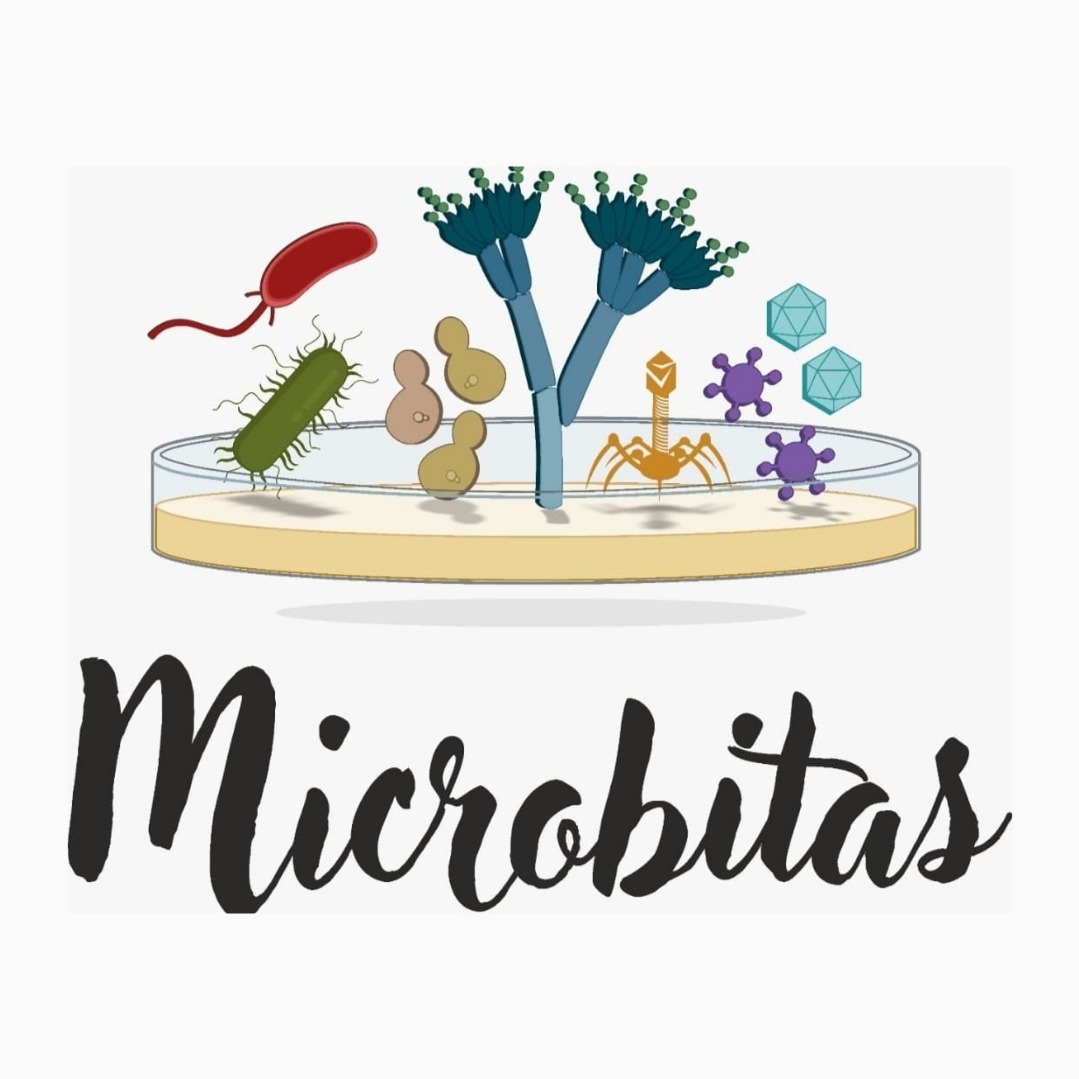 Microbitas | Lima