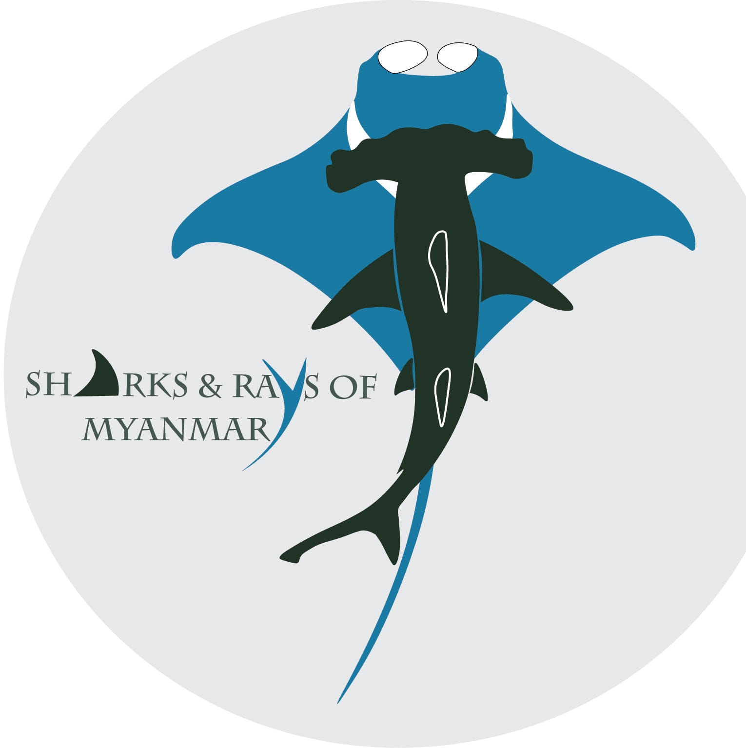 Sharks and Rays of Myanmar