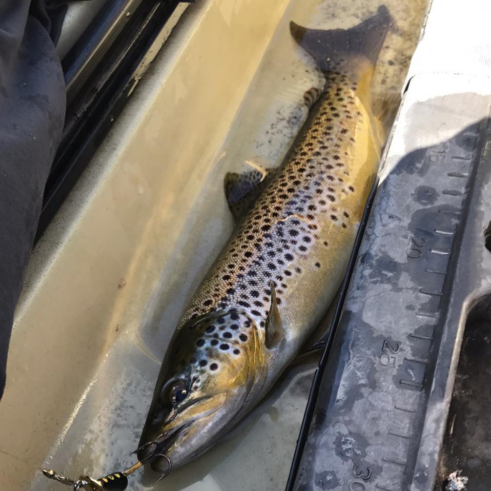 Fish Recon