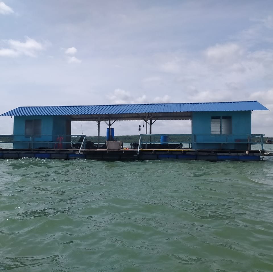 Rakit Biru Sungai Layang | Kampong Sungai Tiram