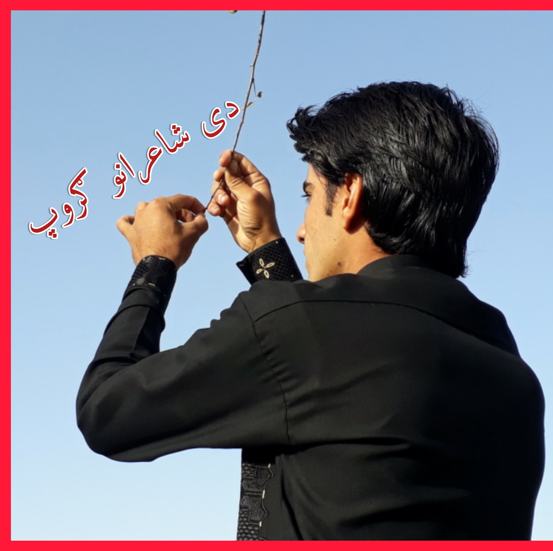 دی شاعرانو ګروپ