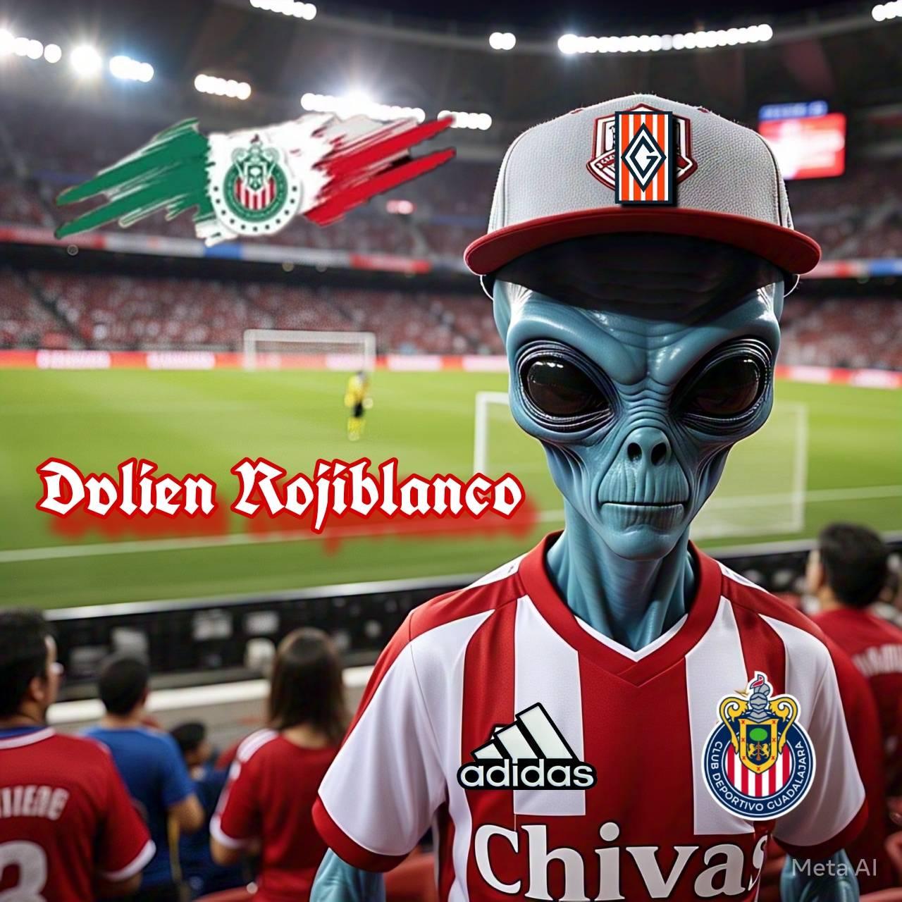 Dvlien Rojiblanco