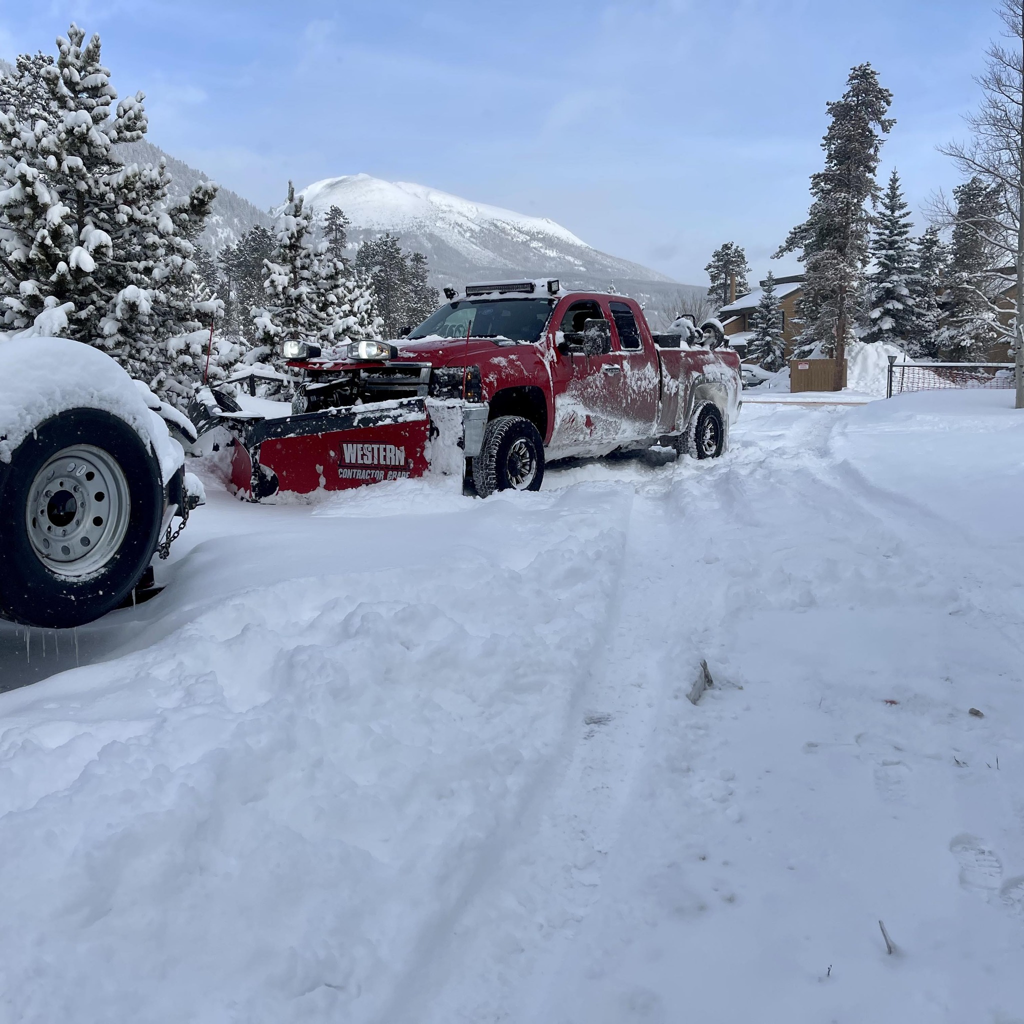 Alpine Pro