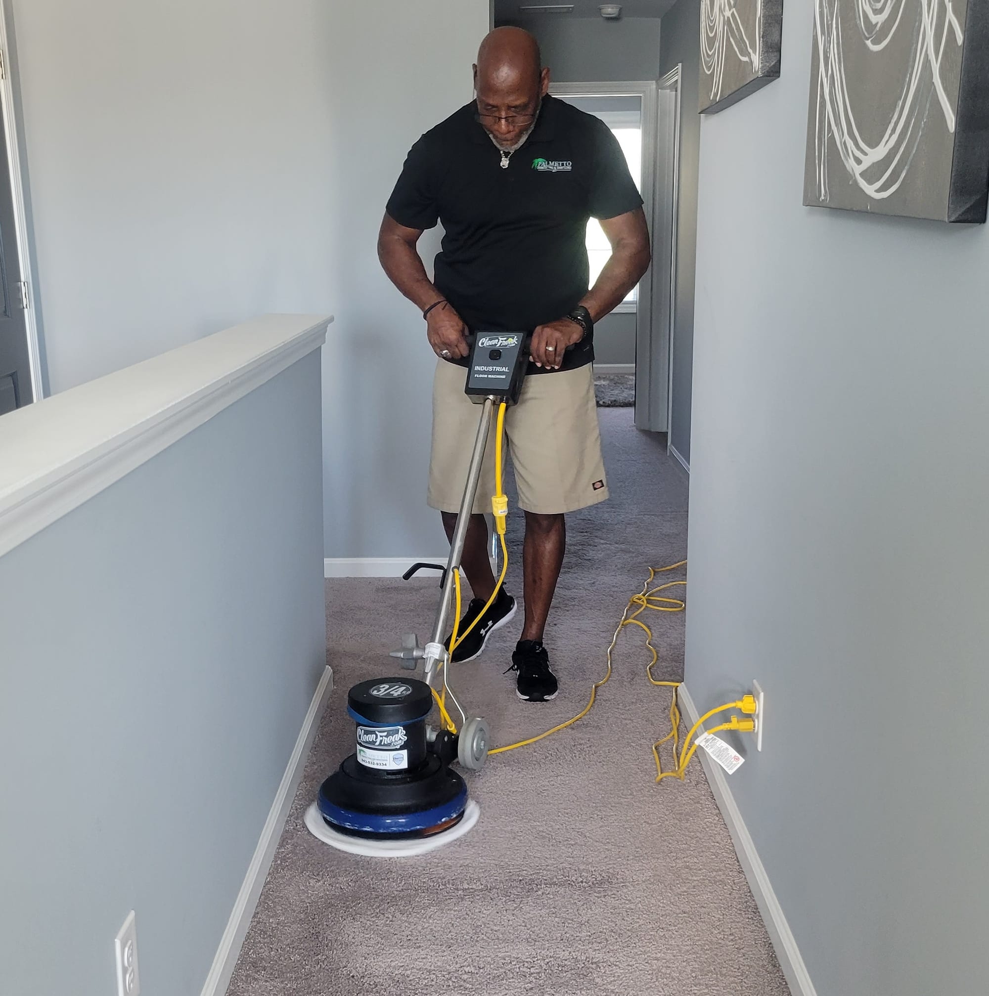 P... - Palmetto Disinfecting & Sanitizing Plus Carpet Cleaning