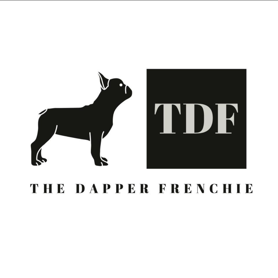 The Dapper Frenchie